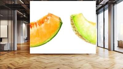 Juicy watercolor cantaloupe and honeydew melons are a refreshing and nutritious snack for hot summer days Wall mural