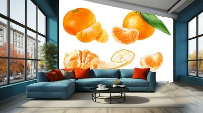 Mandarin fruit set watercolor illustration isolated on white background Wall mural