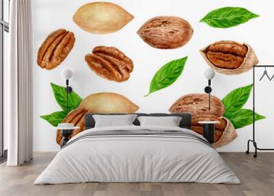 Pecan nut set composition watercolor isolated on white background Wall mural