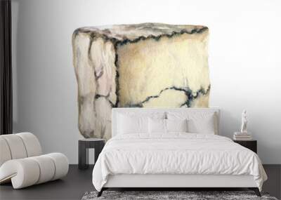 Piece of Goat s Milk Camembert cheese isolated on white background. Watercolor illustration. Wall mural