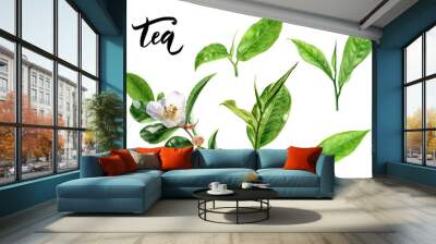 Tea leaves watercolor illustration isolated on white background Wall mural