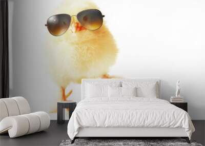 Funny cute baby chick with sunglasses and eggs. Wall mural