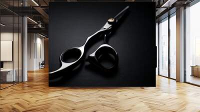 professional scissors on black background Wall mural