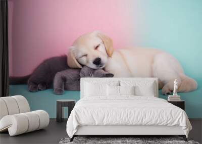 Golden Retriever puppy and British cat snuggling on pastel background – heartwarming pet friendship photography.

 Wall mural