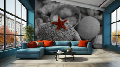 Starfish or sea stars Wall mural