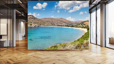 The bay of Fellos in Andros island, Greece Wall mural