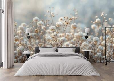 White Gypsophila Flowers Babys Breath On, Background HD, Illustrations Wall mural