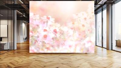  soft sweet pink flower background from daisy flowers Wall mural