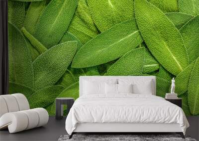 close up a herb sage leaf abstract texture background Wall mural