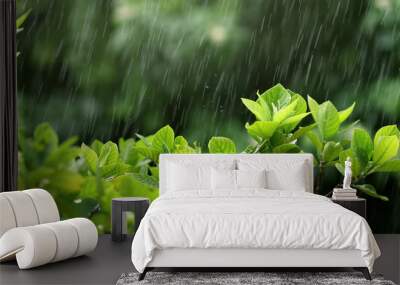 nature fresh green leaf branch under havy rain in rainy season Wall mural