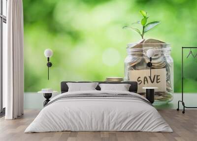 Plant growing  in Coins glass jar for money saving  investment Wall mural