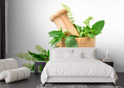 Sweet basil and hot basil in wooden mortar with essential oil and supplement, alternative herbal medicine concept Wall mural