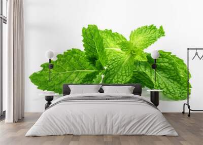 the fresh mint leaf on white background Wall mural