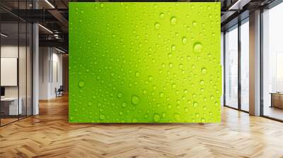 the water drop on fresh green  background Wall mural