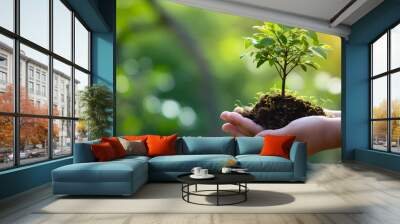 Person holds in his hands a handful of ground from which the green plant grows. The concept of greening the Earth and preserving vegetation on it. Wall mural