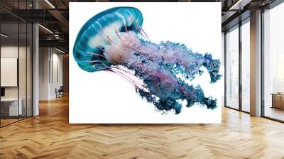 A bioluminescent, neon or blue glowing jellyfish with long tentacles floating isolated in a transparent background. Cut out or PNG. Wall mural