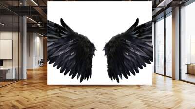 A pair of black feather wings on a transparent, isolated background. Cut out or PNG. Wall mural