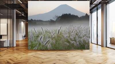 foxtail grass ii Wall mural