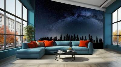 Night sky with the Milky Way and comet Neowise looking like the Christmas Star and a silhouette of pine trees along the horizon. Wall mural