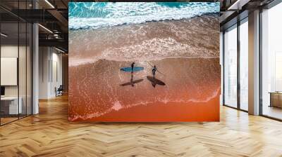 Two Surfers Wall mural