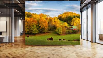 Autumn Appalachian farm at the end of the day - cows on back roads near Boone North Carolina Wall mural