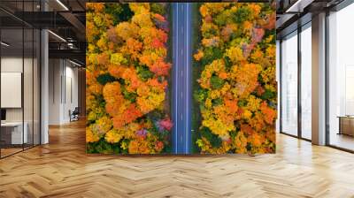 Autumn drive through the tunnel of Trees in Michigan Upper Peninsula UP - Highway 41  M26 Aerial view Wall mural