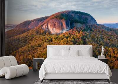 Autumn sunrise on the Blue Ridge Parkway - Looking Glass Rock - near Asheville and Brevard - Pisgah National Forest Wall mural