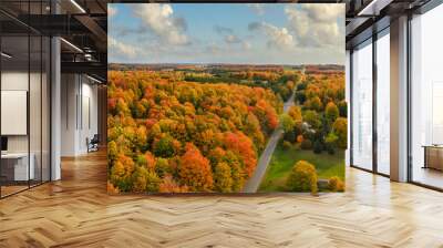 Beautiful late day sun light  on scenic drive in autumn through the central Michigan farm countryside near Cadillac Wall mural