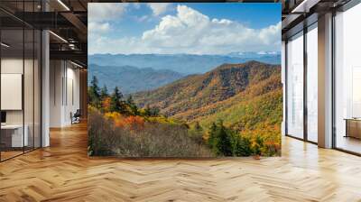 Smoky Mountain National Park in Autumn Wall mural