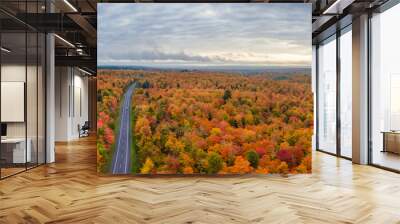 Sunset Autumn drive through the tunnel of Trees in Michigan Upper Peninsula UP - Highway 41  M26 Aerial view Wall mural