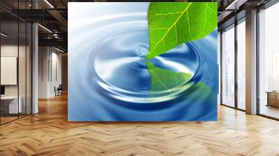 Green leaf touching water Wall mural