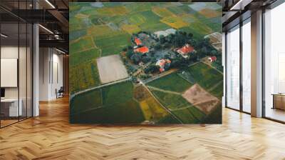 Aerial view of fresh green and yellow rice fields and palmyra trees in Mekong Delta, Tri Ton town, An Giang province, Vietnam. Ta Pa rice field. Wall mural