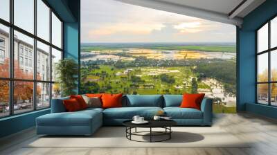 Aerial view of fresh green and yellow rice fields and palmyra trees in Mekong Delta, Tri Ton town, An Giang province, Vietnam. Ta Pa rice field. Wall mural