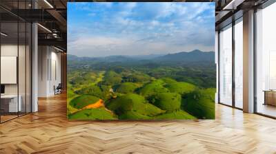 Aerial view of Long Coc tea hills, Phu Tho province, Vietnam. Beautiful green tea plantation in Vietnam. Nature background. Wall mural