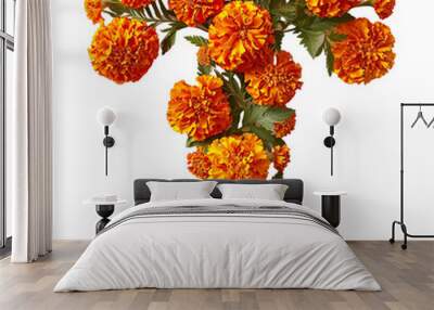 The letter 'T' made with a bunch of Marigold flowers isolated on a white transparent background Wall mural