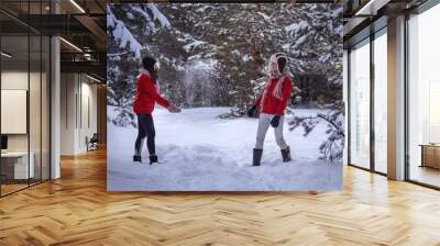 A guy and a girl are walking in the winter forest. Wall mural