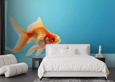 A purebred fish shines in its studio portrait, set against a vibrant backdrop, capturing its unique beauty in a playful style. Wall mural