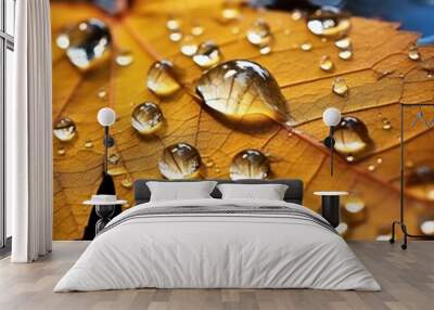 Glistening macro dew or raindrops enhance the allure of a yellow autumn leaf, Ai Generated. Wall mural