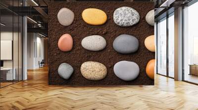 Highresolution top view of fertile soil with rocks and pebbles, perfect for agriculture and gardening concepts. Wall mural