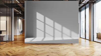 Original gray background image for design or product presentation with light and shadow play. Wall mural