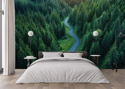 Winding road from the high mountain pass in Transylvania,  Wall mural