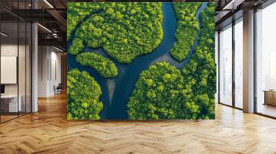 Aerial view of a river winding through a lush green mangrove forest. Wall mural