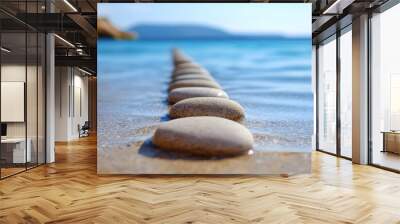 Close-Up View of Rounded Stepping Stones Leading Through a Calm Stream Wall mural