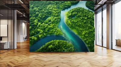 Aerial drone view, the bend of the river with stretches of deep forest Wall mural