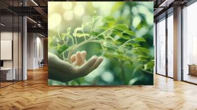 Hand touching plants green with biochemistry structure on background. Chromosome DNA and genetic in nursery outdoor Wall mural