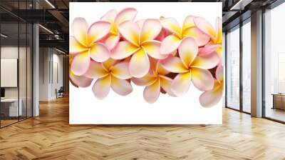 plumeria flowers isolated on white transparent background Wall mural