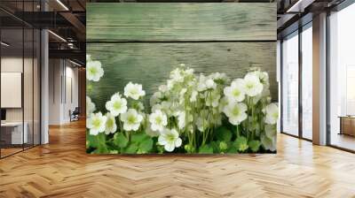 Spring floral background. Green border of white forest flowers primrose in nature and old wooden light rustic boards in vintage style. Texture of fresh forest greenery, copy space Wall mural