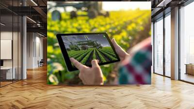 A person is holding a tablet and looking at a field of crops Wall mural