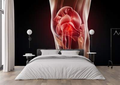 X-ray of human knee 3d illustration Wall mural