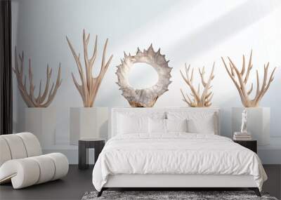 Decorative Coral and Coral Decor for Interior Design. Modern Styled Coral Displays in Elegant White Decorated Settings. Unique Coral Art for Contemporary Homes Wall mural